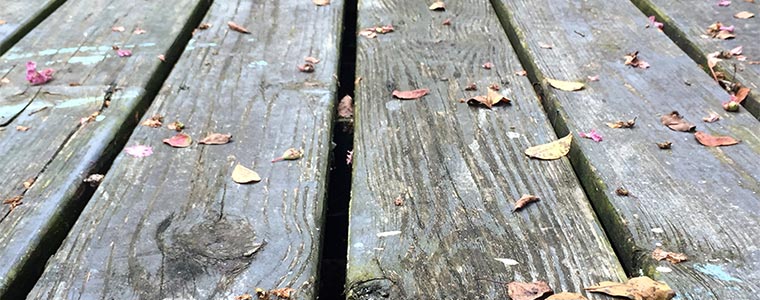 dont underestimate mould on your decking 1