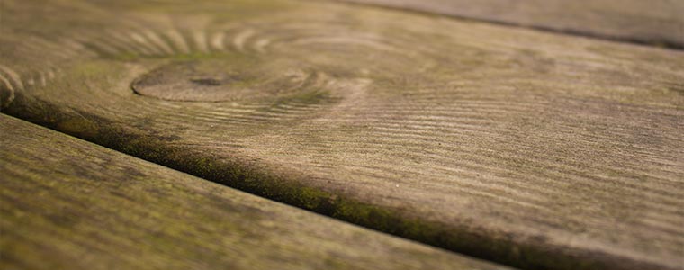 dont underestimate mould on your decking 2