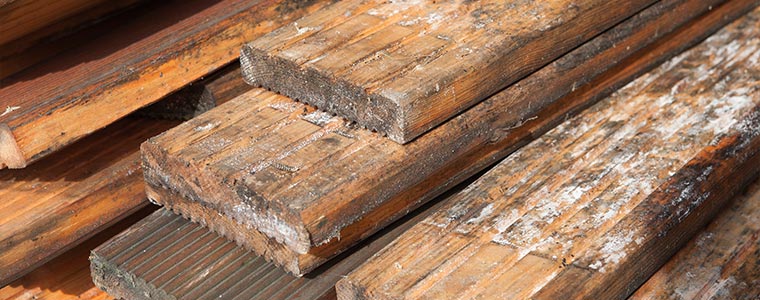 dont underestimate mould on your decking 3