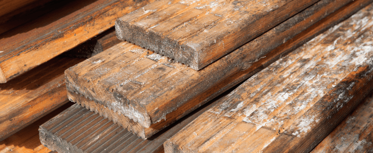 mould on decking boards