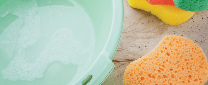 bucket and sponge