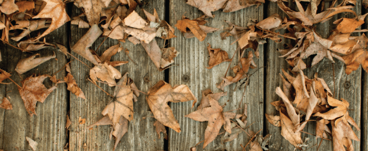dead leaves on decking