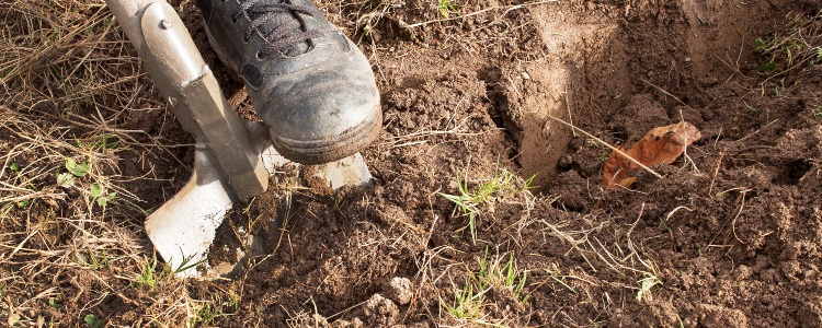 Digging-Hole-Savoy
