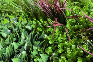 Artificial Plant Walls