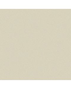 Aspects Acrylic 3D Edged Beige Metallic Gloss
