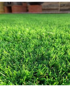 Augusta 40mm Thick Artificial Ezigrass £14.95 per M²