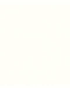 OPTIONS Pure White Postformed Worktop