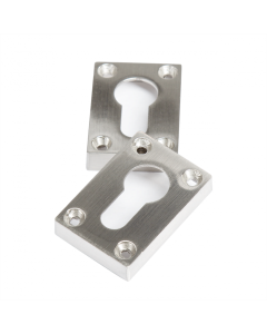 Slim Escutcheon (Pair) Polish Nickel