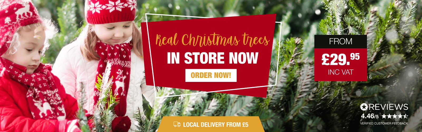 Real Christmas Trees In Store Order Now