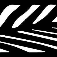 PALM